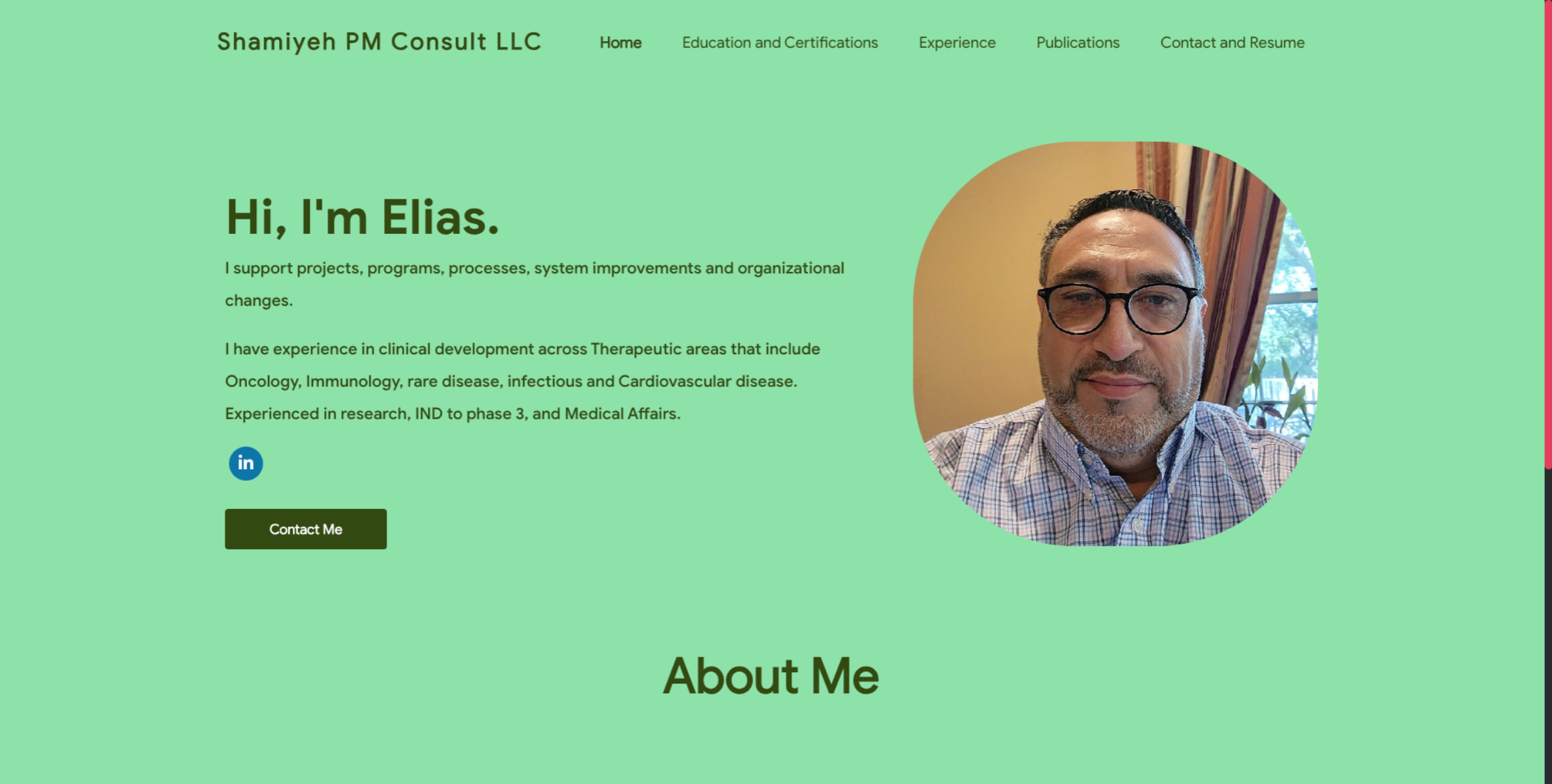 Shamiyeh PM Consult Website